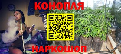 дмт Ставрополь