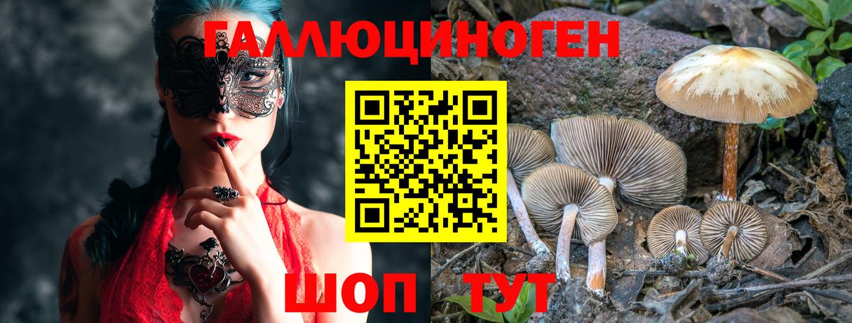 Галлюциногенные грибы Cubensis Печора