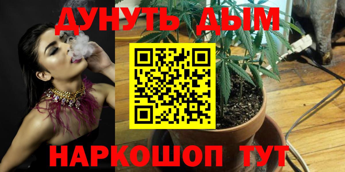 Каннабис индика Печора